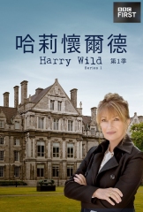 野探哈莉第一季 野探哈莉第一季