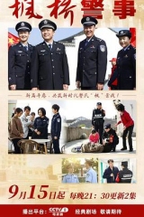 枫桥警事 枫桥警事